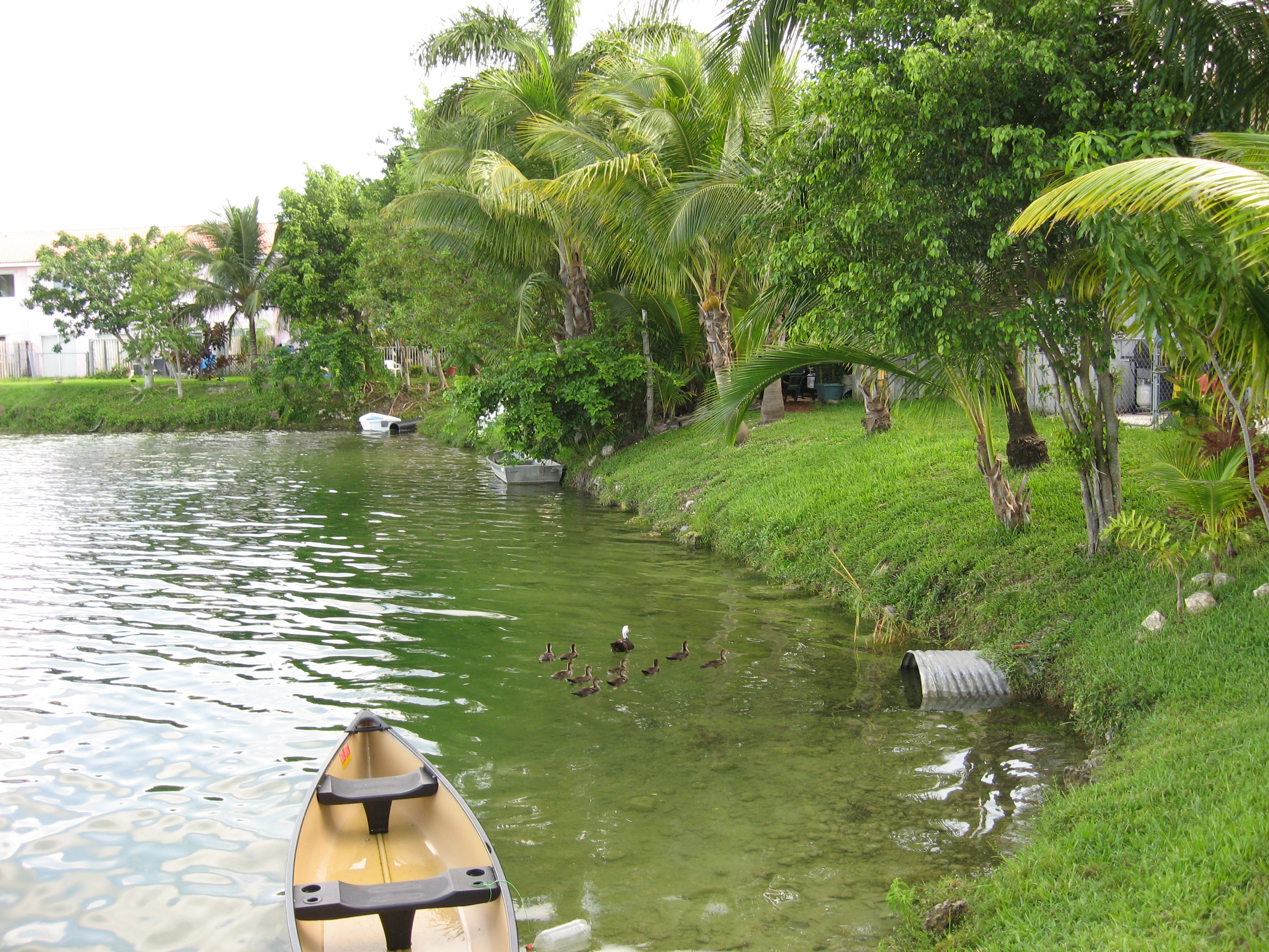 san_mateo